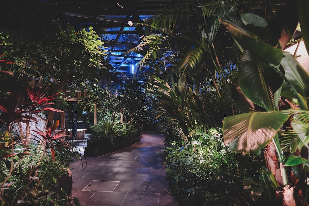 NEWoMAN高輪　LUFTBAUM（高輪Gateway）28 29樓免費展望台 夜景3